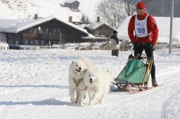 Lenk 2012 SM